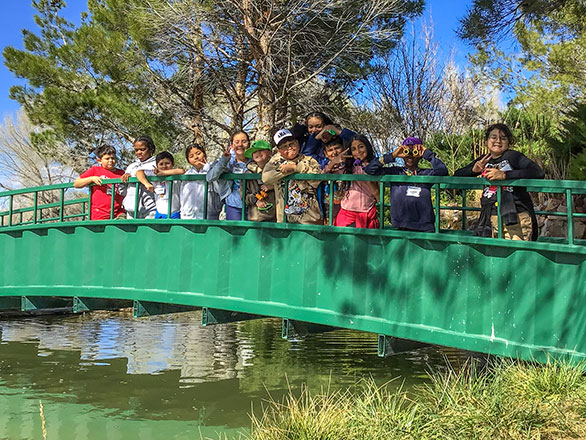 campers standing on bridge