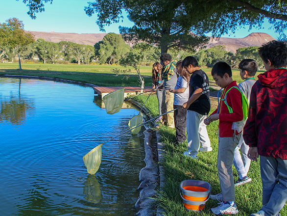 campers seining the lake for microorganisms