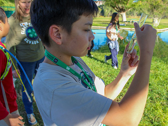 camper studing the content of testtube full of lake water