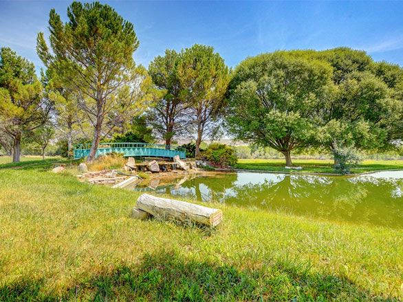 view of the lake with bridge in the background