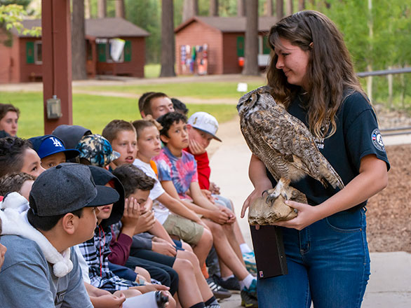 campers learning about wildlife