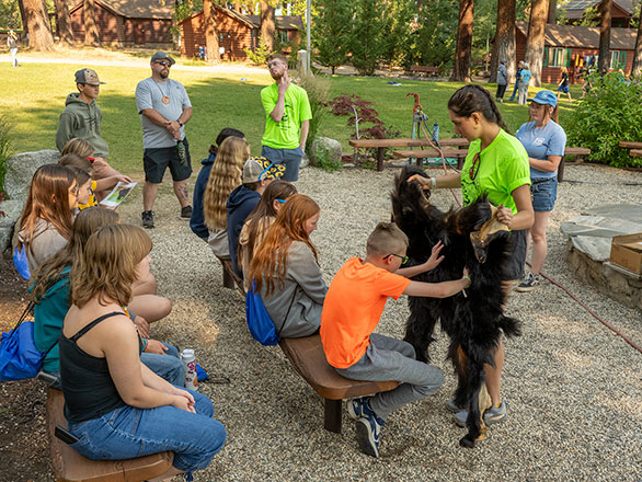 campers learning about animal pelts