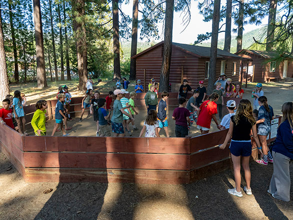 campers playing cage ball
