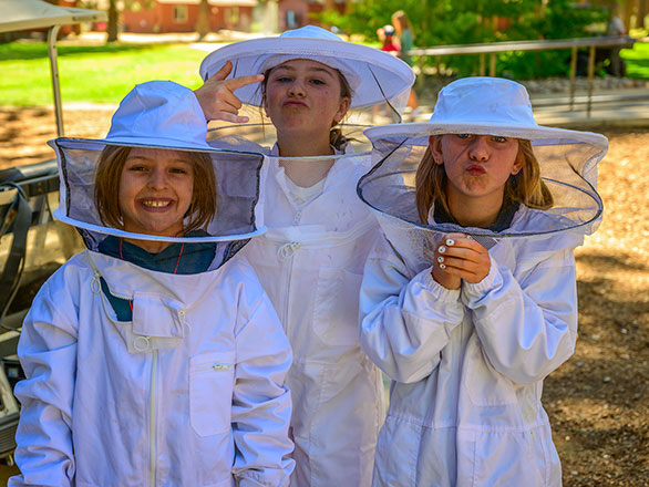 campers wearing bee suits