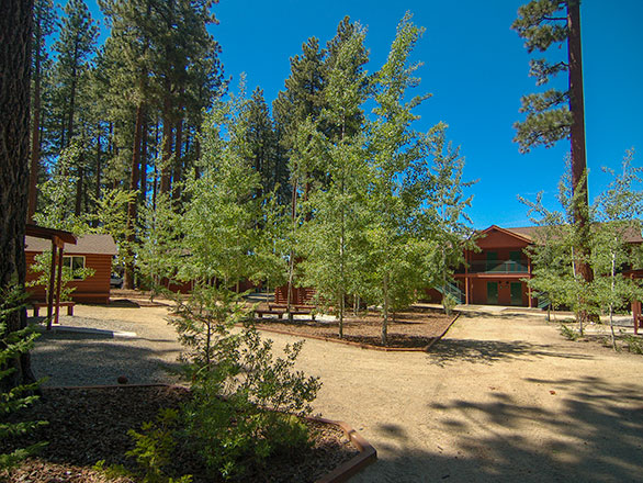 girl cabins courtyard