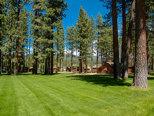 boy cabins from drop off lot