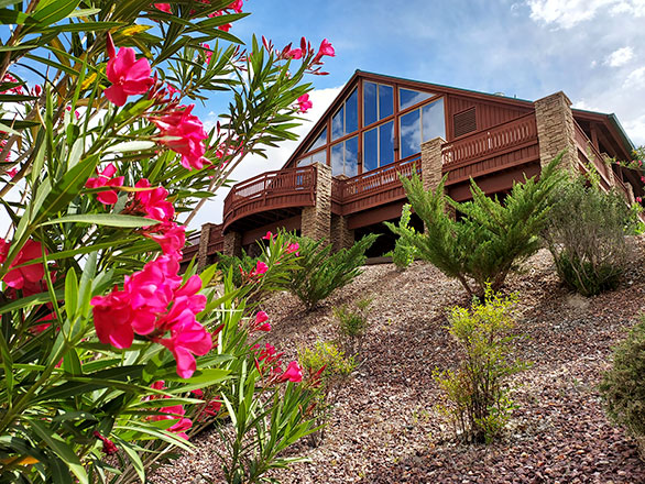garden in front of main building