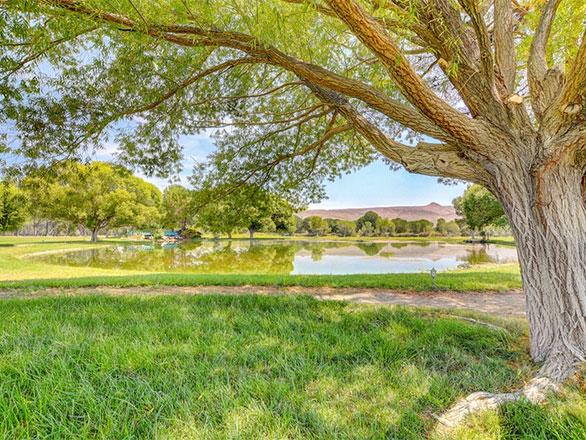 UNR Generic Placeholder