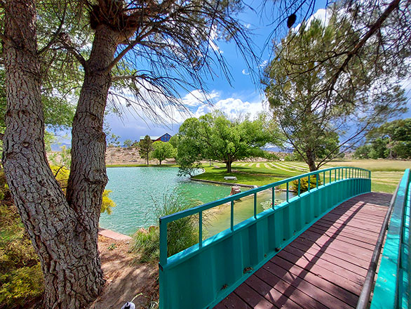 view from bridge of lake