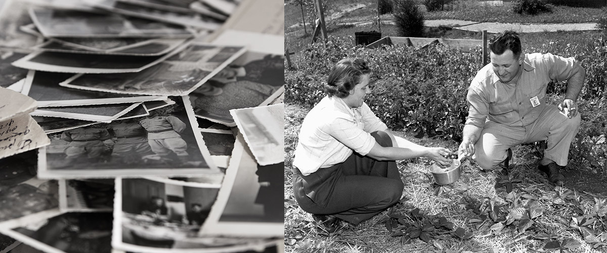  Collection of images, postcards and letter send during WWII
