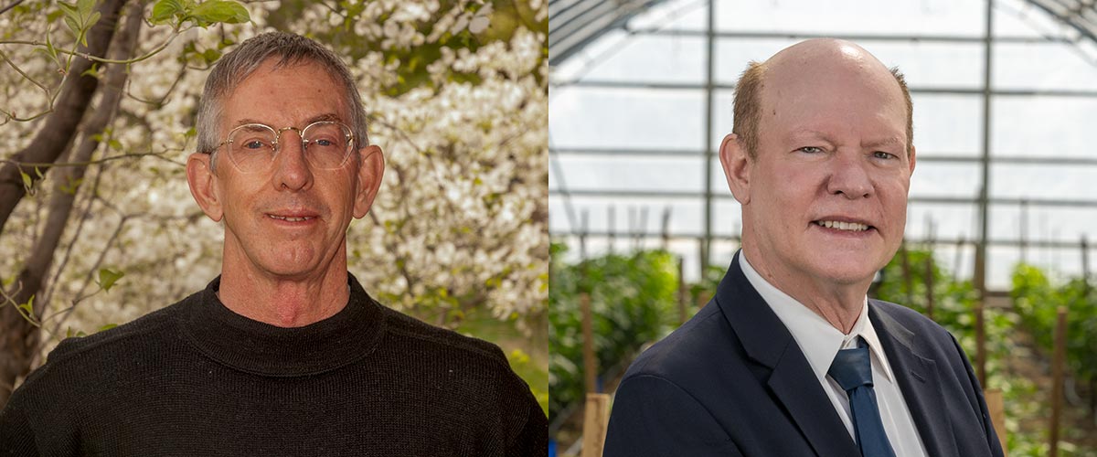 profile photos of walker and payne